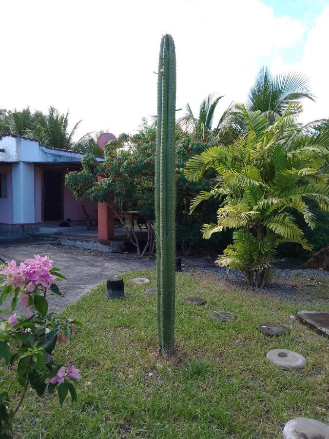 Rancho Tranquillo Hostel Moyogalpa Exterior photo